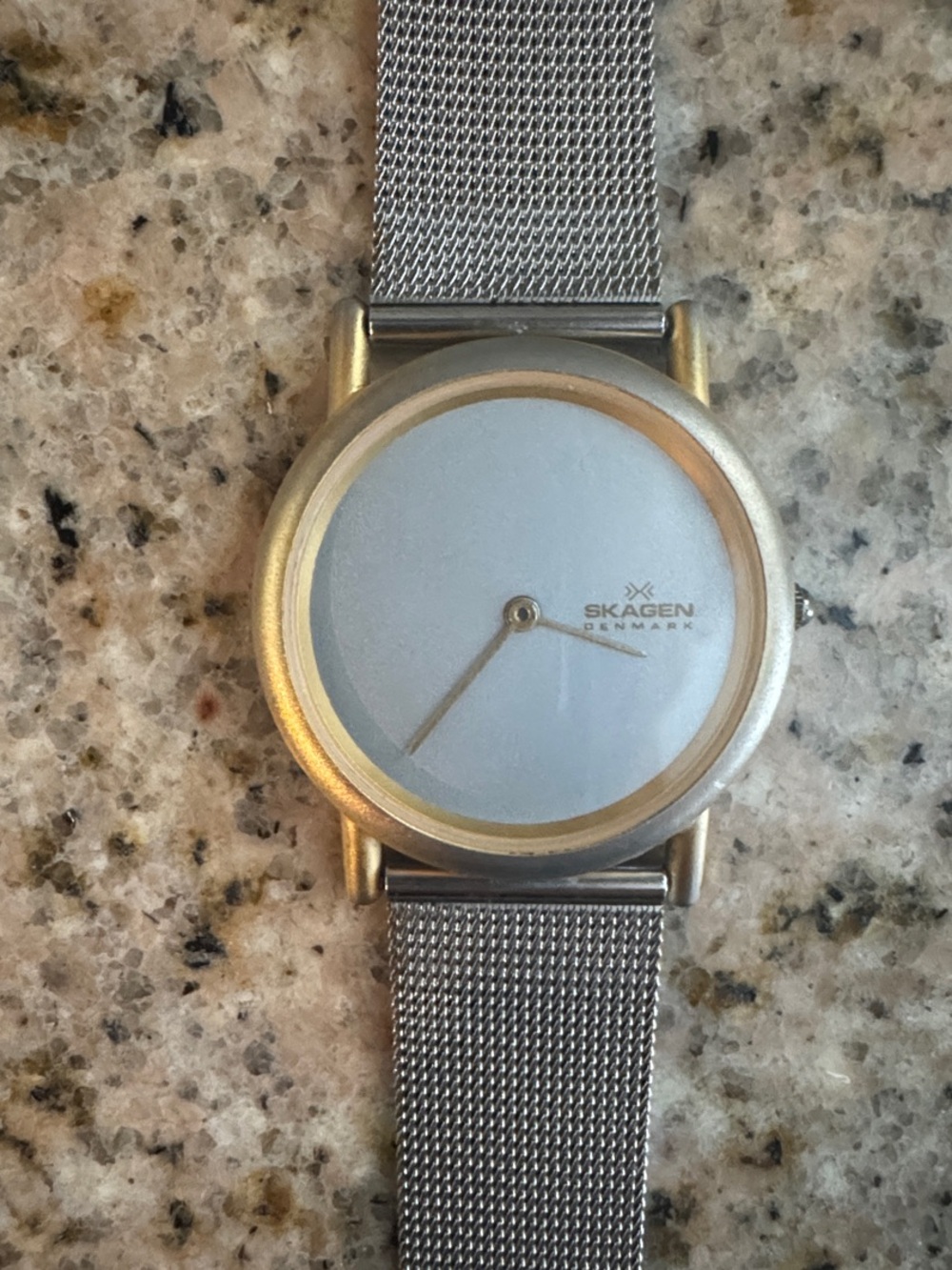 Skagen Silver Mesh Watch with Gold Accent